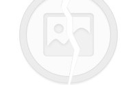简单成语大全，简单成语大全四字词语100个