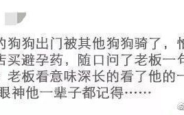 爆笑图片笑到你肚子疼，爆笑图片笑到你肚子疼动态图