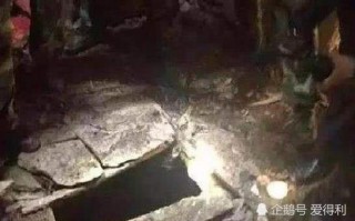 中国十大最惨的案件，中国十大最惨的案件是什么