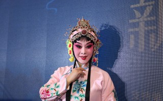 秦腔李淑芳唱段大全，秦腔李淑芳唱段大全pandemic