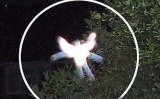 鬼故事真实灵异事件，鬼故事真实灵异事件视频