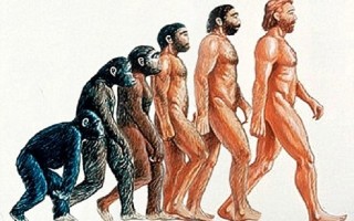 人类主动灭绝的8个证据，人类主动灭绝的8个证据是什么