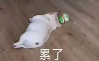 超级搞笑表情包，超级搞笑表情包图片
